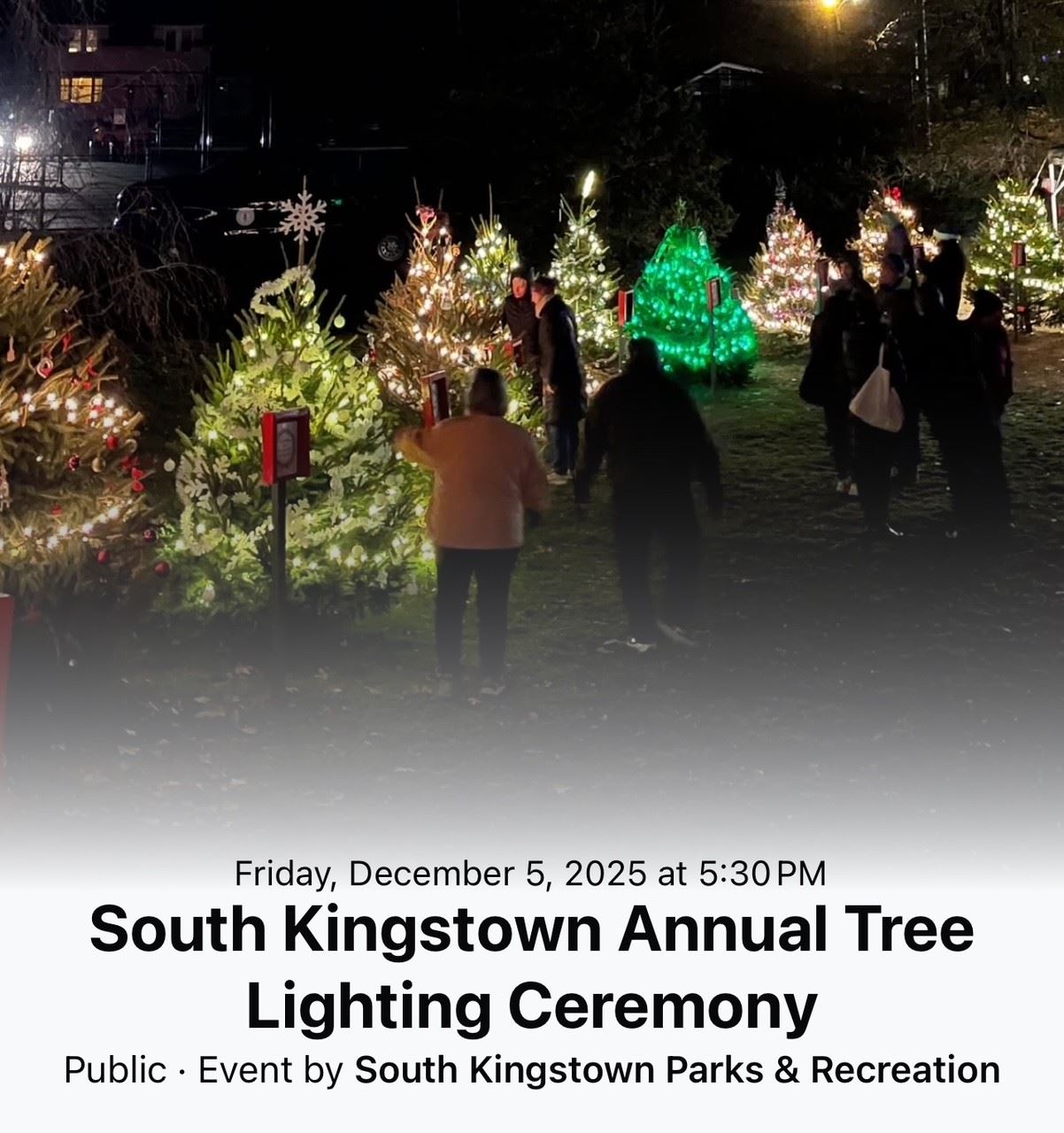 tree lighting